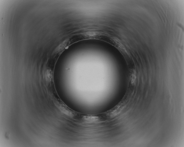 X0000097790476200803141833