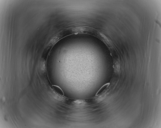 X0000097790477200803141833