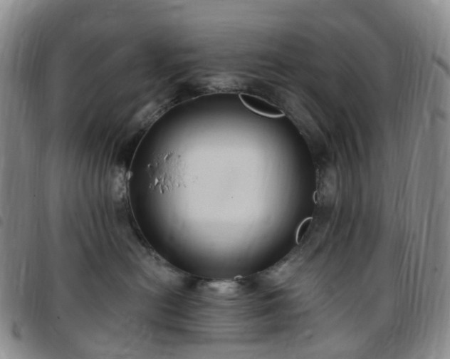 X0000097790478200803141833