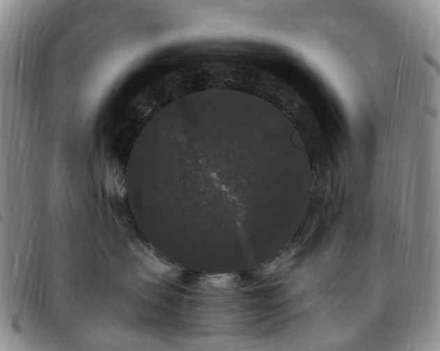 X0000097790479200803141833