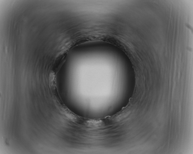 X0000097790480200803141833