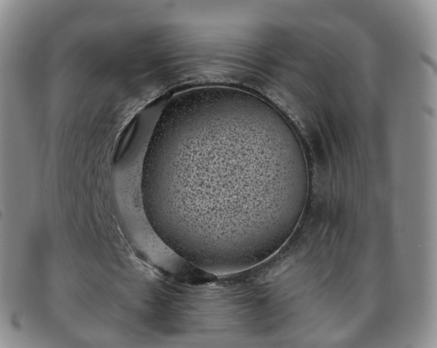 X0000097790481200803141833