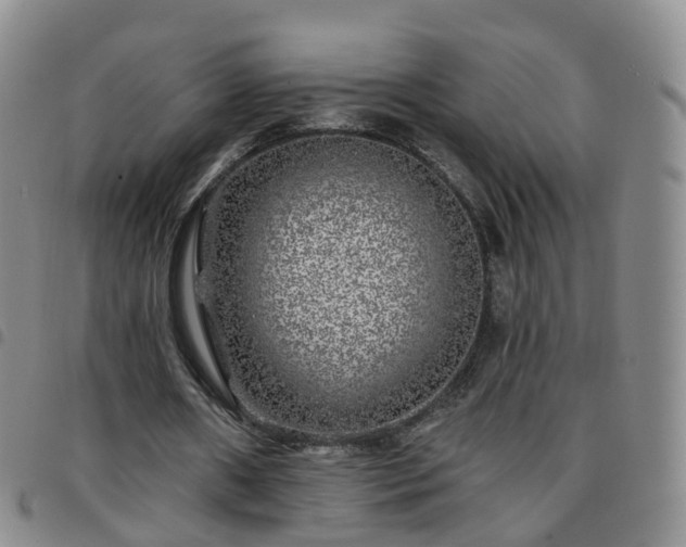 X0000097790482200803141833