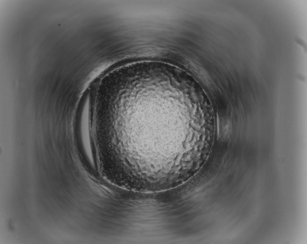X0000097790483200803141833