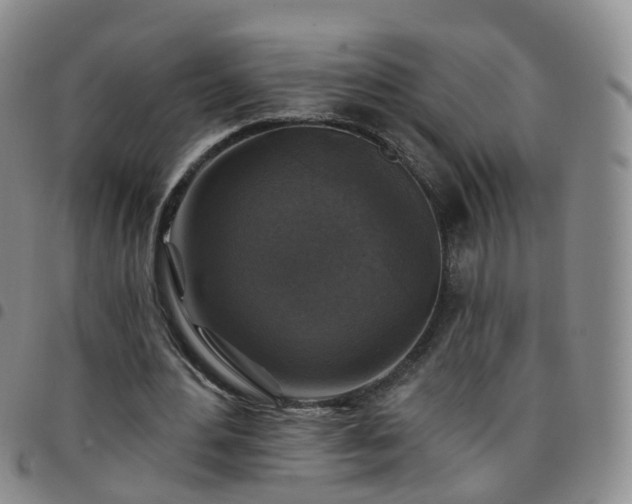 X0000097790484200803141832