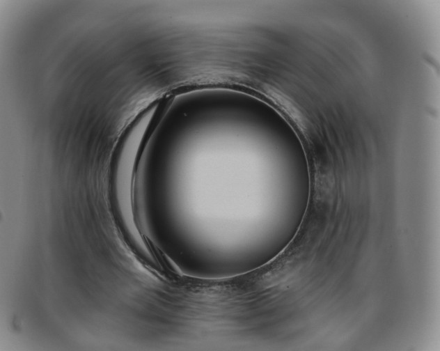 X0000097790485200803141832