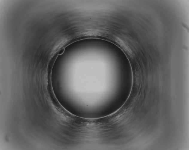 X0000097790486200803141832