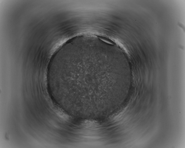 X0000097790487200803141832