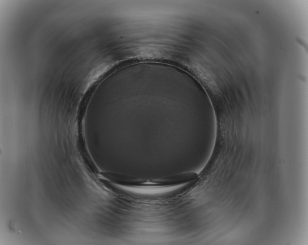 X0000097790488200803141832