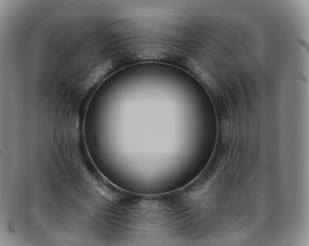 X0000097790490200803141832