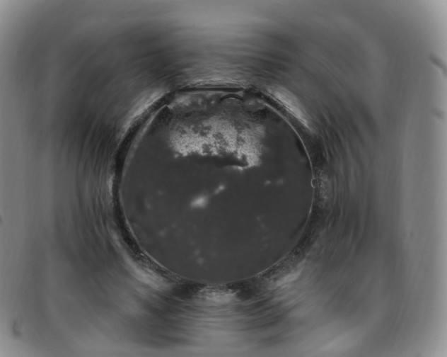 X0000097790491200803141832