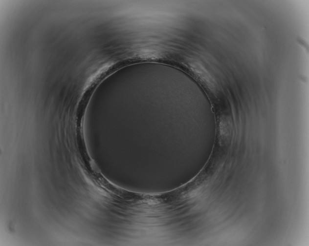 X0000097790492200803141832