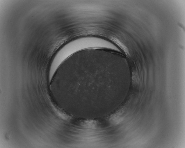 X0000097790493200803141832