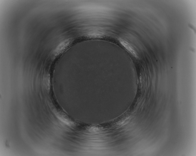 X0000097790494200803141832