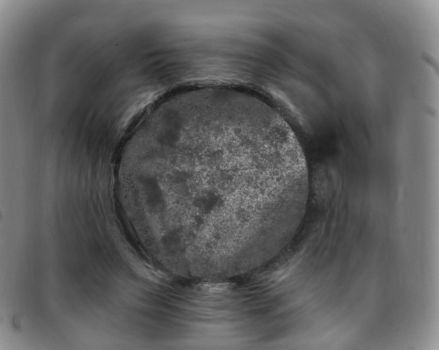 X0000097790495200803141832