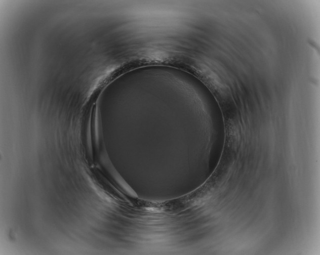 X0000097790496200803141832
