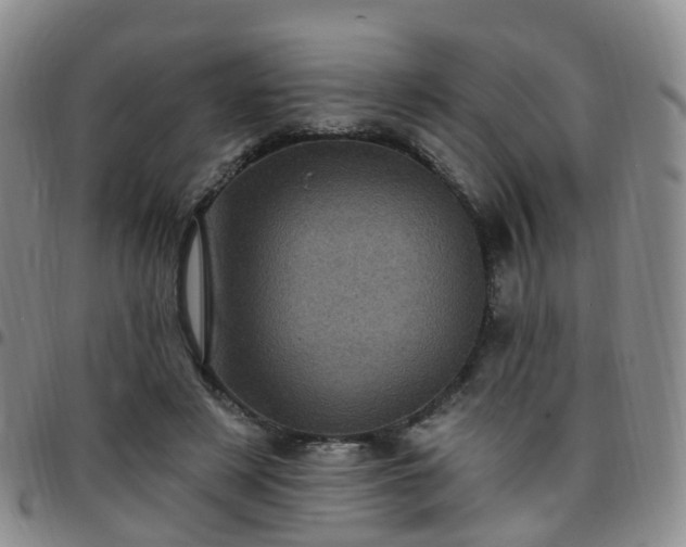X0000097790497200803141832