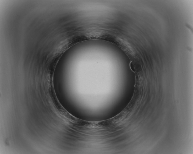 X0000097790498200803141832