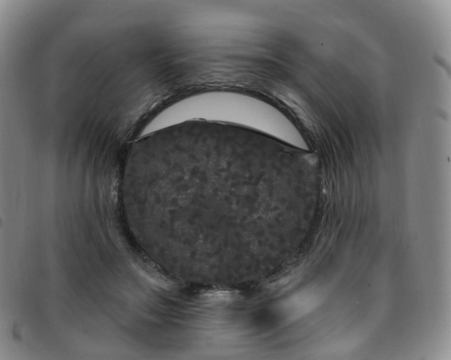 X0000097790499200803141832