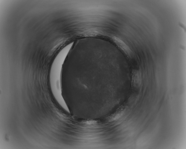 X0000097790501200803141832
