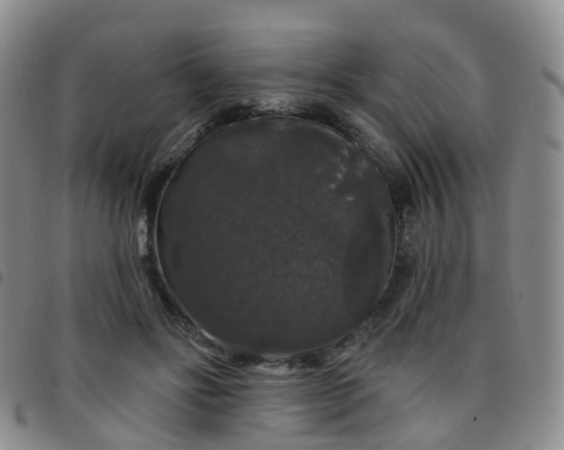X0000097790502200803141832