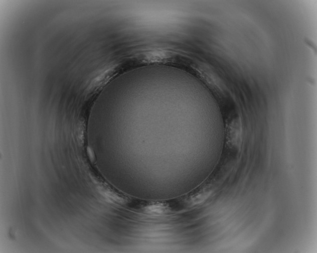 X0000097790505200803141832