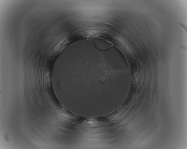 X0000097790506200803141832
