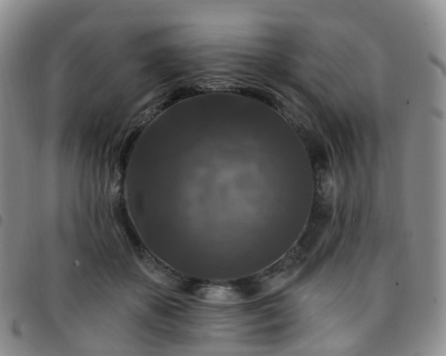 X0000097790507200803141832