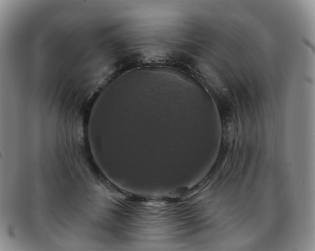 X0000097790508200803141832