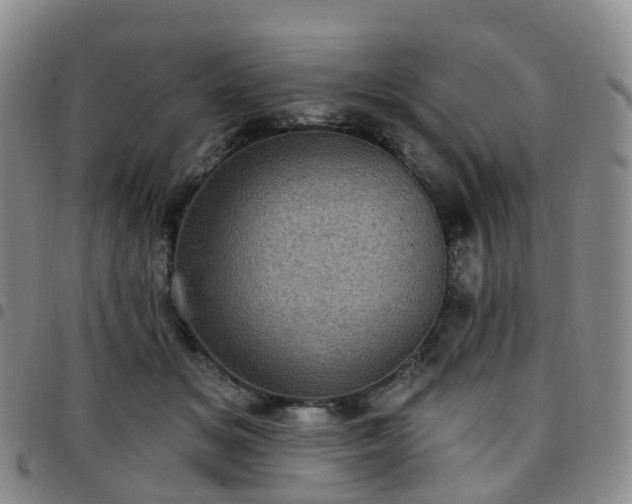 X0000097790509200803141832