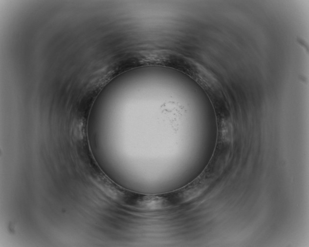 X0000097790514200803141832