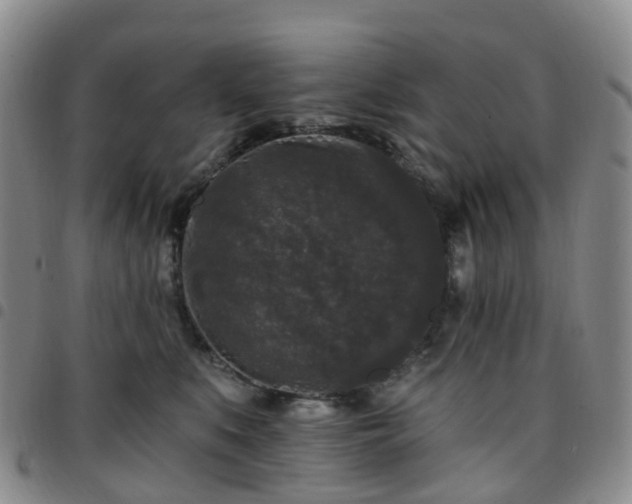 X0000097790519200803141832