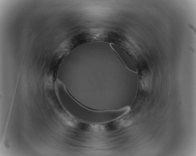 X0000097790520200803141832