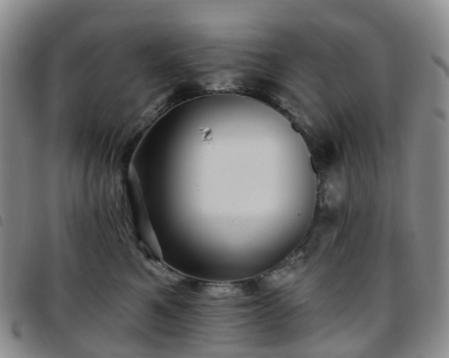 X0000097790521200803141832