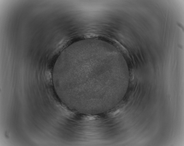 X0000097790523200803141832