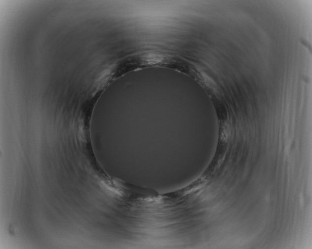 X0000097790524200803141832
