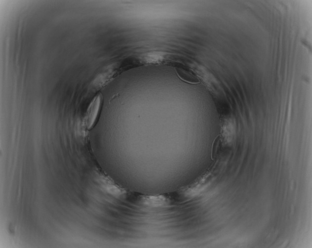 X0000097790525200803141832