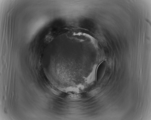 X0000097790526200803141832