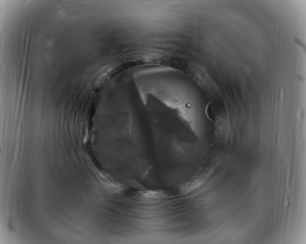 X0000097790527200803141832