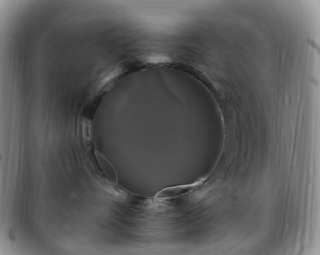 X0000097790528200803141832