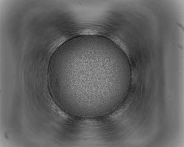 X0000097790529200803141831