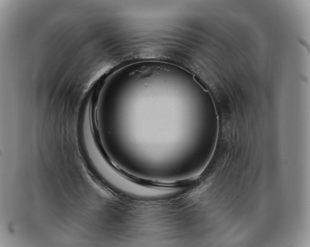 X0000097790530200803141831