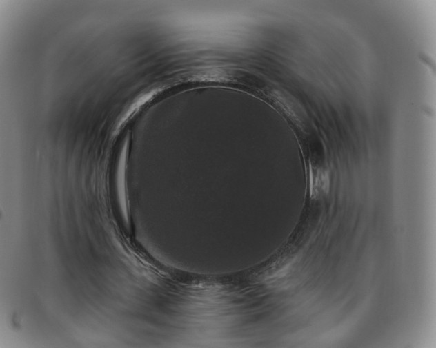 X0000097790531200803141831