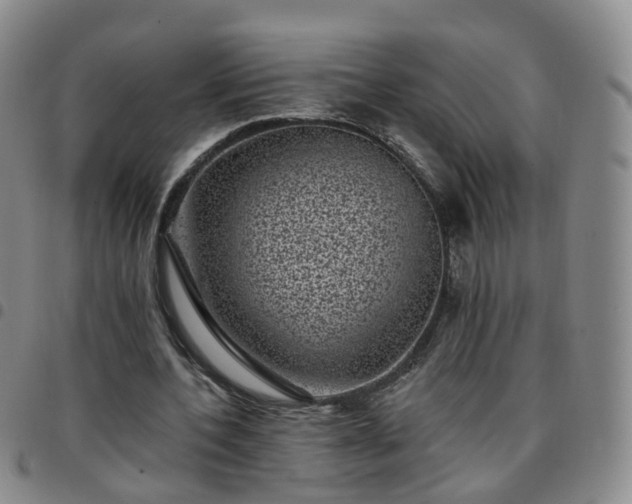 X0000097790532200803141831