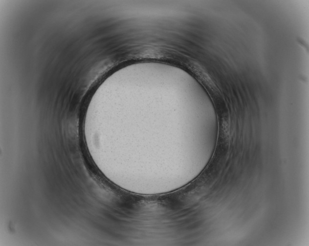 X0000097790534200803141831