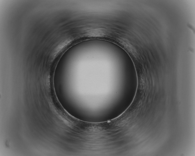 X0000097790535200803141831