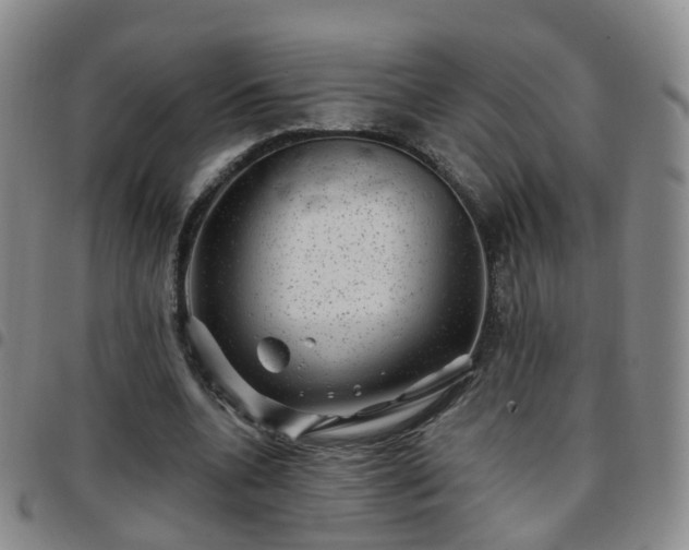 X0000097790536200803141831