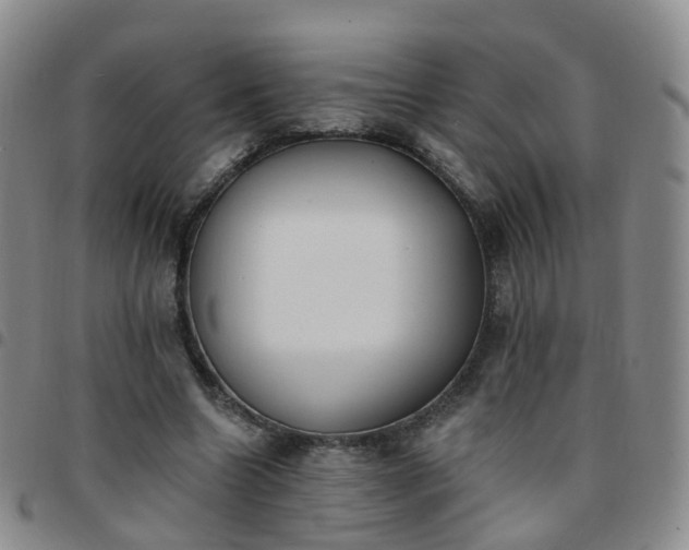 X0000097790538200803141831