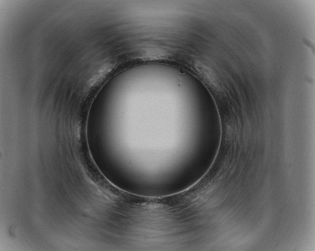 X0000097790539200803141831
