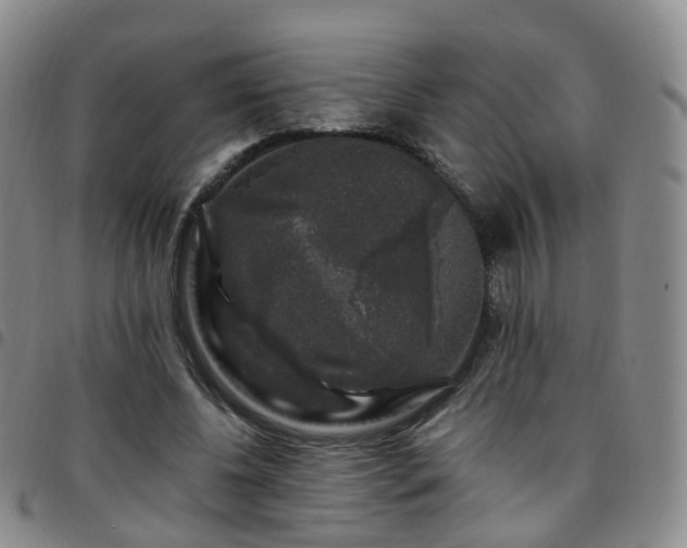 X0000097790540200803141831
